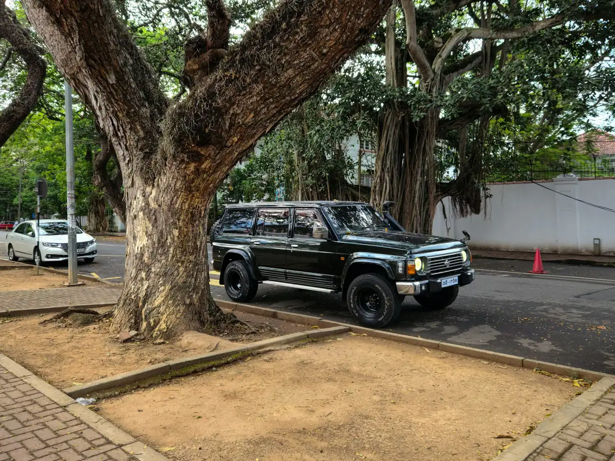 A truck parked on the side of a road next to a tree